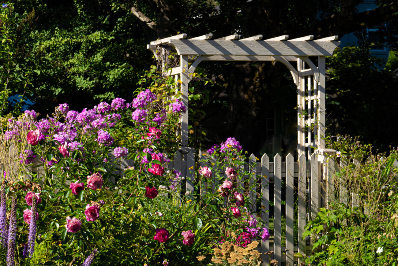 Featured image for 6 Must-Have Backyard Accents to Transform Your Garden