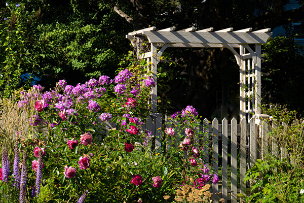 Garden arbor surrounded by flowers